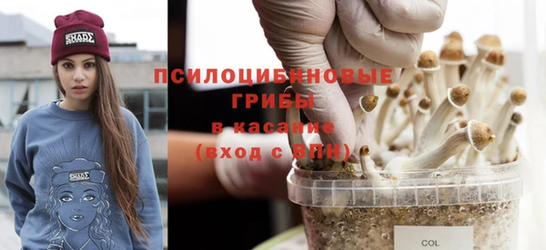 мяу мяу мука Беломорск