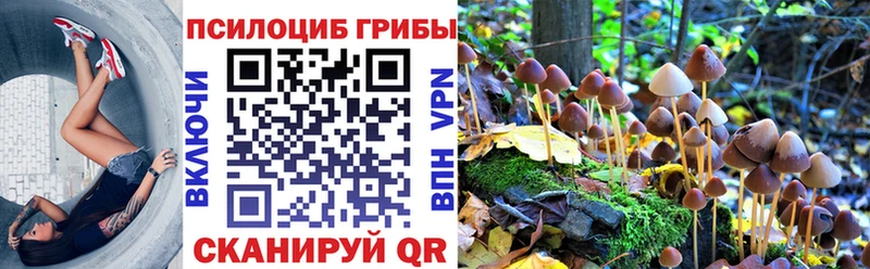 Галлюциногенные грибы MAGIC MUSHROOMS  Купить закладки  Мурино 