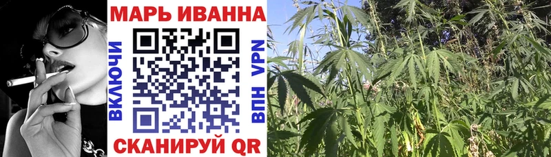 Купить закладки  Мурино  Конопля конопля 